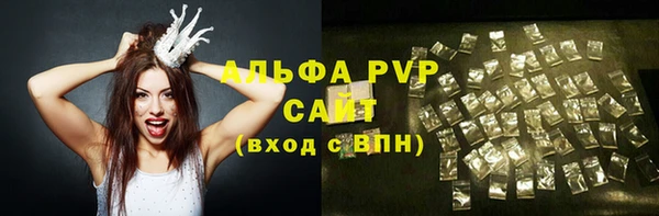 шишки Осташков