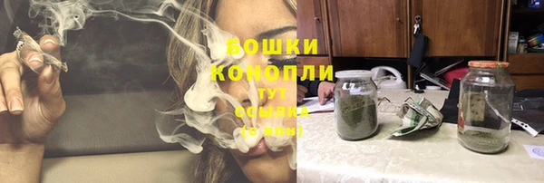 PSILOCYBIN Остров