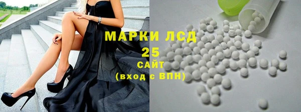 шишки Осташков