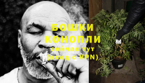 шишки Осташков
