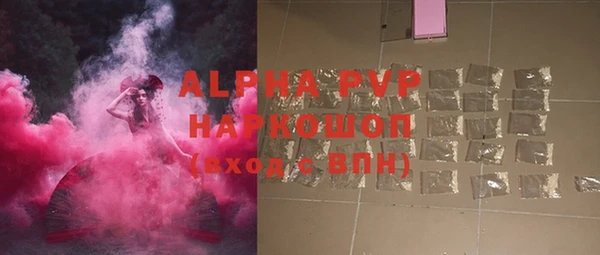 шишки Осташков