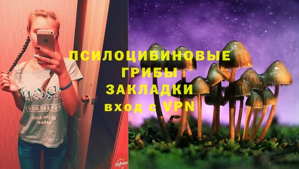 шишки Осташков