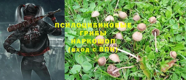 PSILOCYBIN Остров
