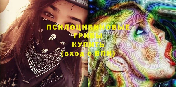 шишки Осташков
