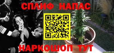 винт Волжский
