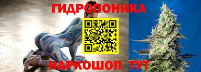 крисы Волжск