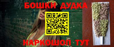 гидра Будённовск