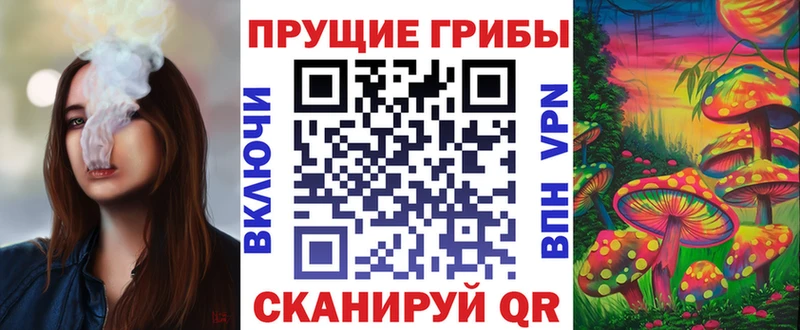 Псилоцибиновые грибы GOLDEN TEACHER  закладки  Богородицк 