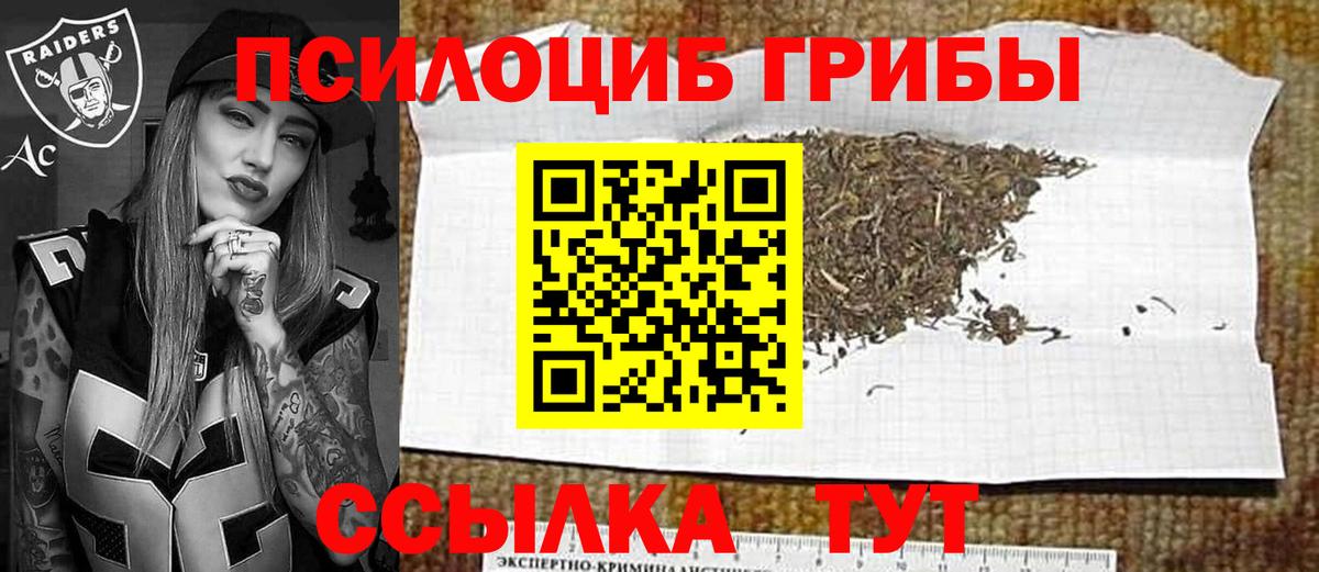 Псилоцибиновые грибы GOLDEN TEACHER Богородицк
