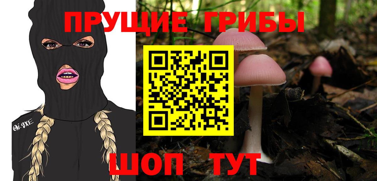 Галлюциногенные грибы Cubensis  Вход с VPN  Богородицк 