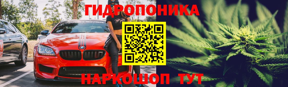 Шишки марихуана Ganja  Богородицк  Марихуана MAZAR  МАРИХУАНА Bruce Banner  Конопля Amnesia 